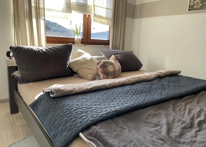 Dorfblick Mit 2 Sz, Wlan, Balkon & Ski- Oder Ebike Keller * Winterberg